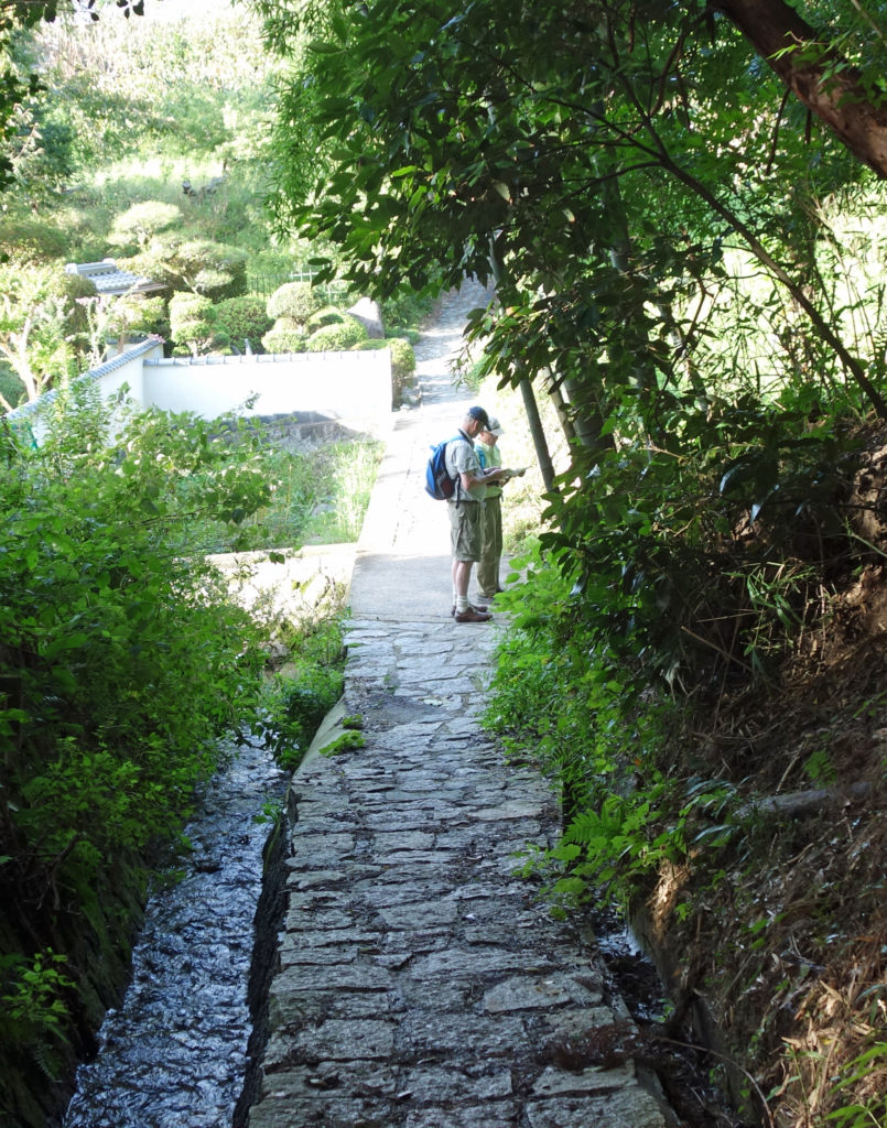 Flagstone part of trail