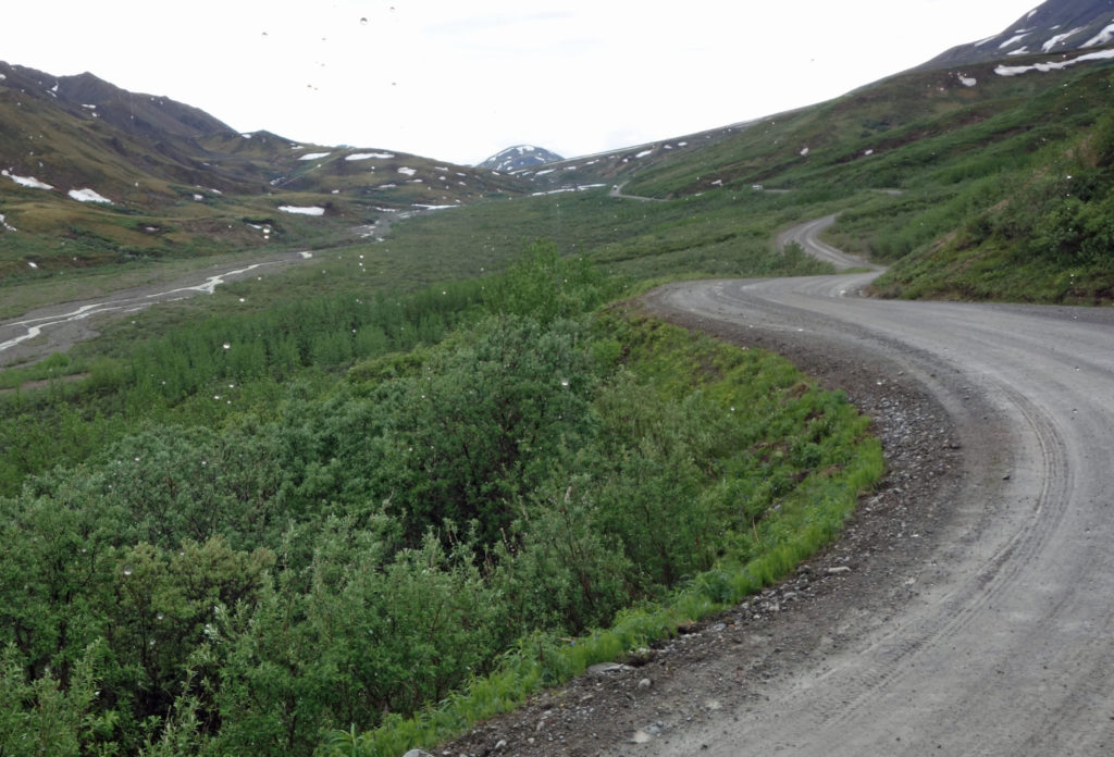 Gravel road in Denali Park