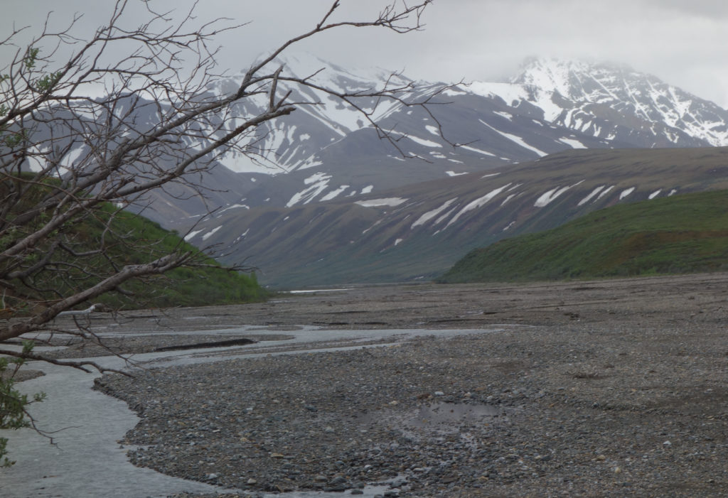 Denali Park