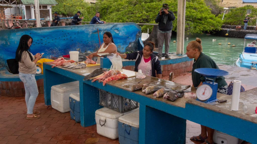 fish market