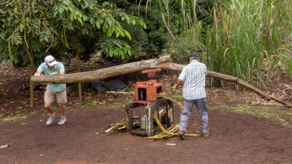 sugar cane press